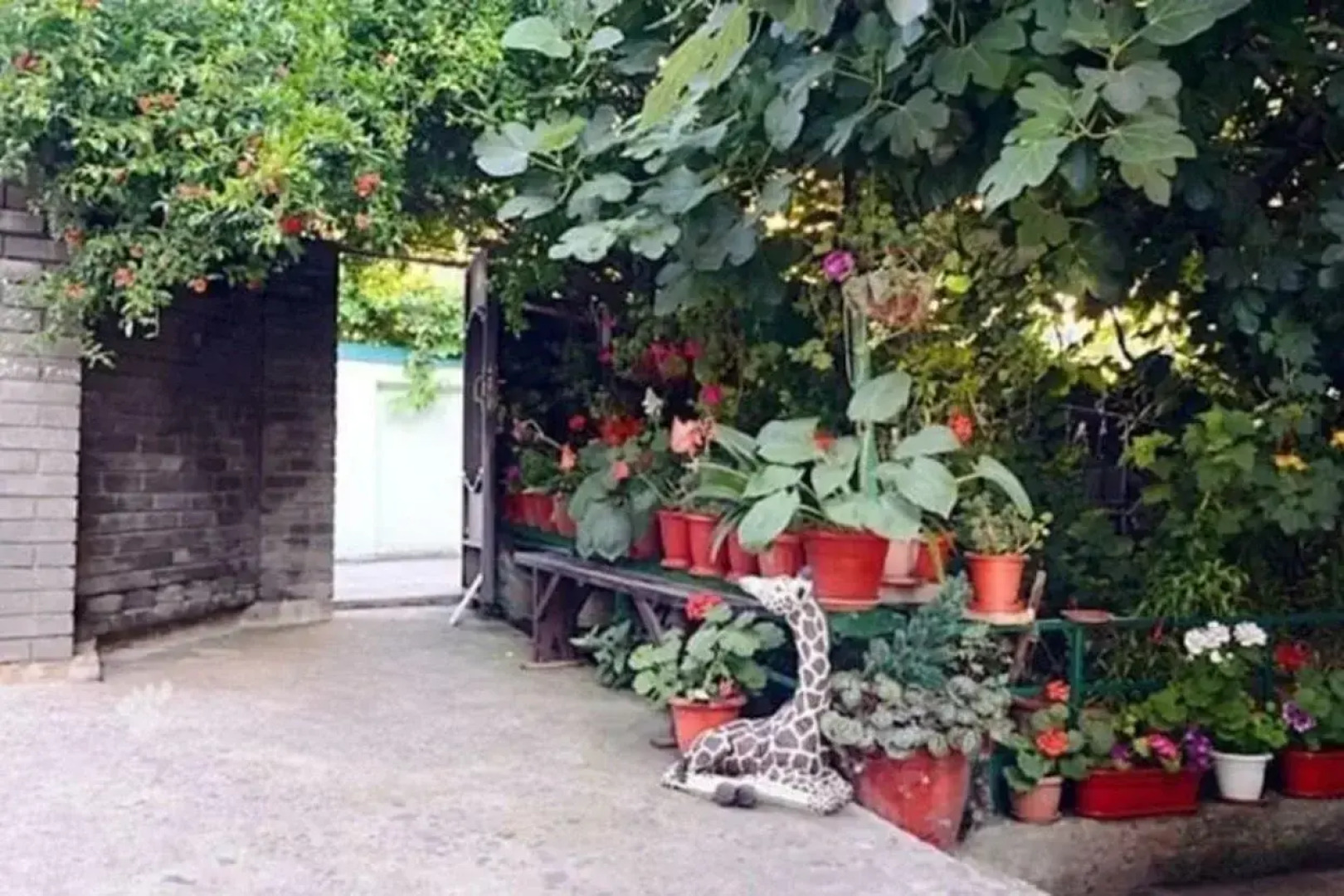 МАРИНА (Адлер)