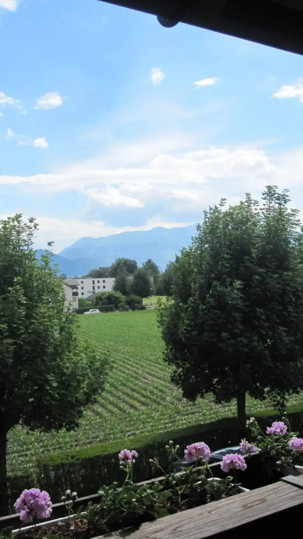 Hotel Schatzmann