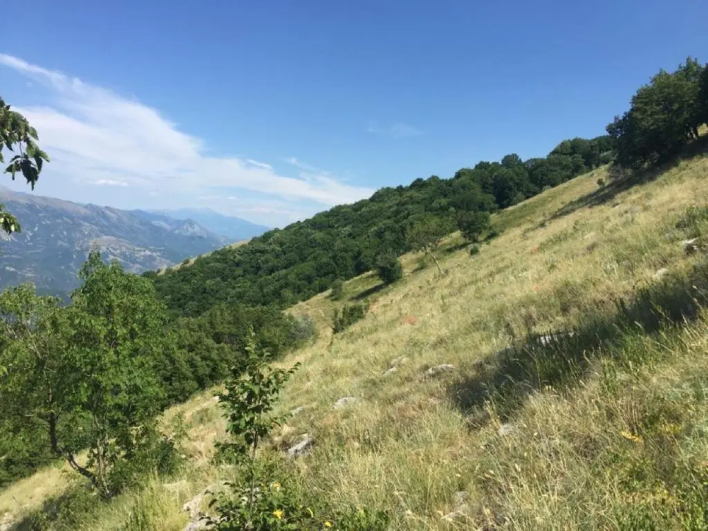 Chri Chri GuestHouse