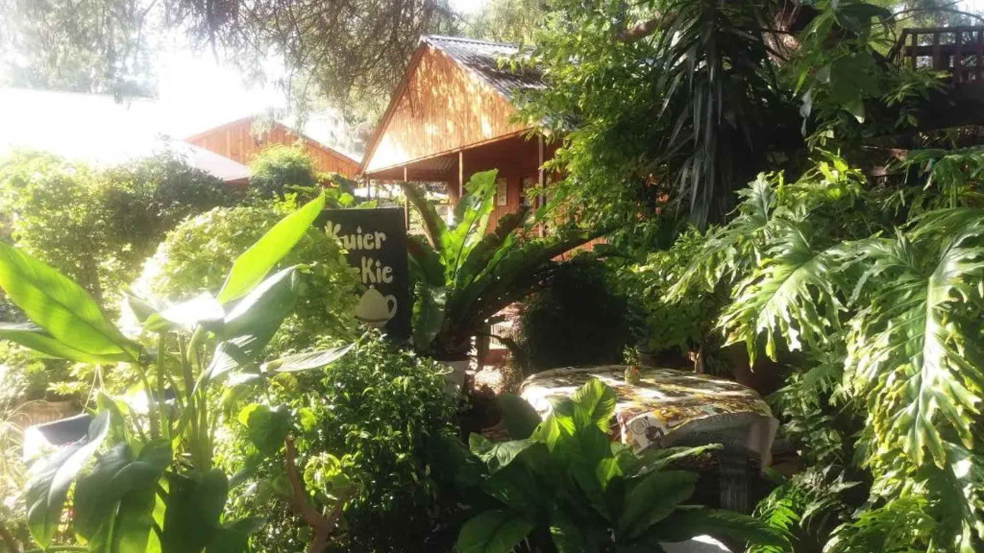 Reggies bed & breakfast