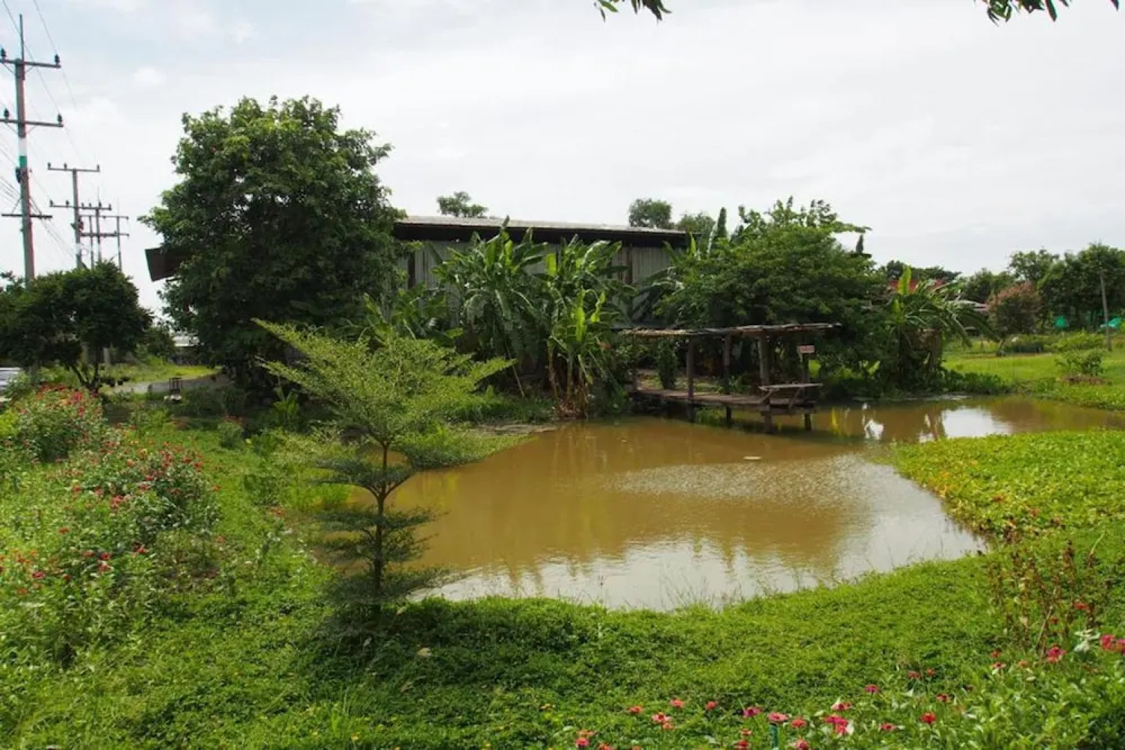 Baan Sikuuk Bed & Breakfast