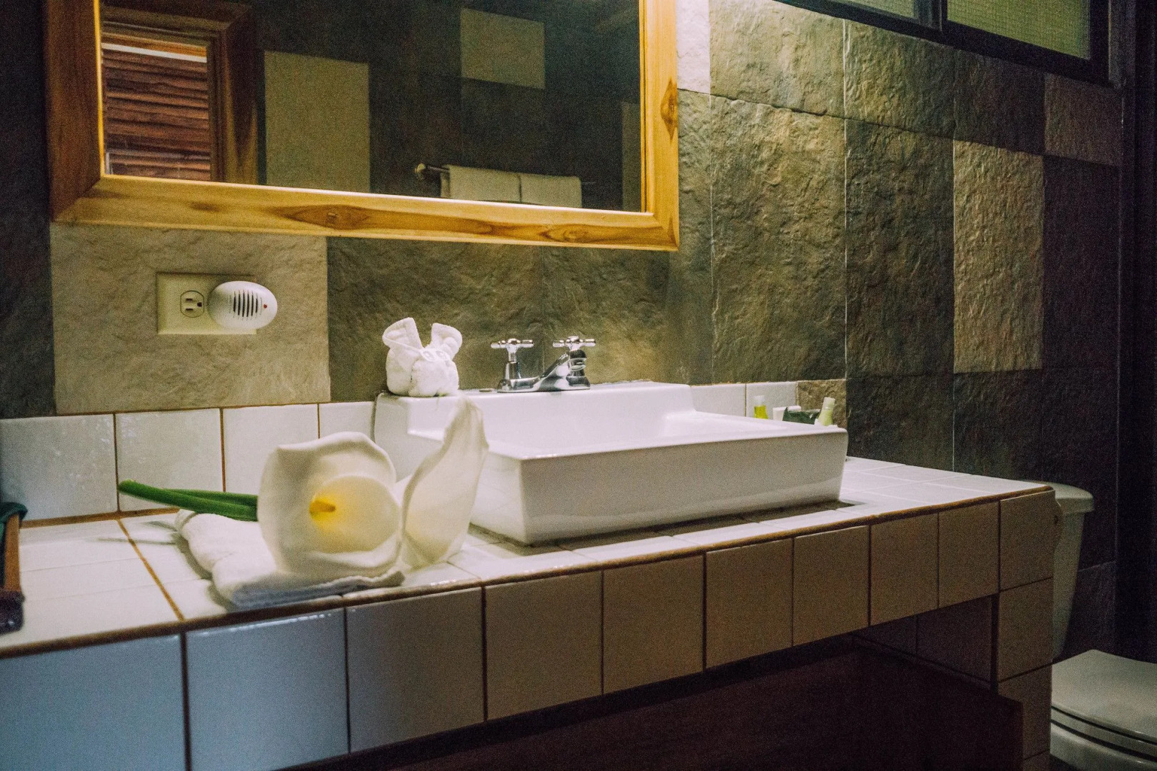 Tree Trek Boquete Adventure Park