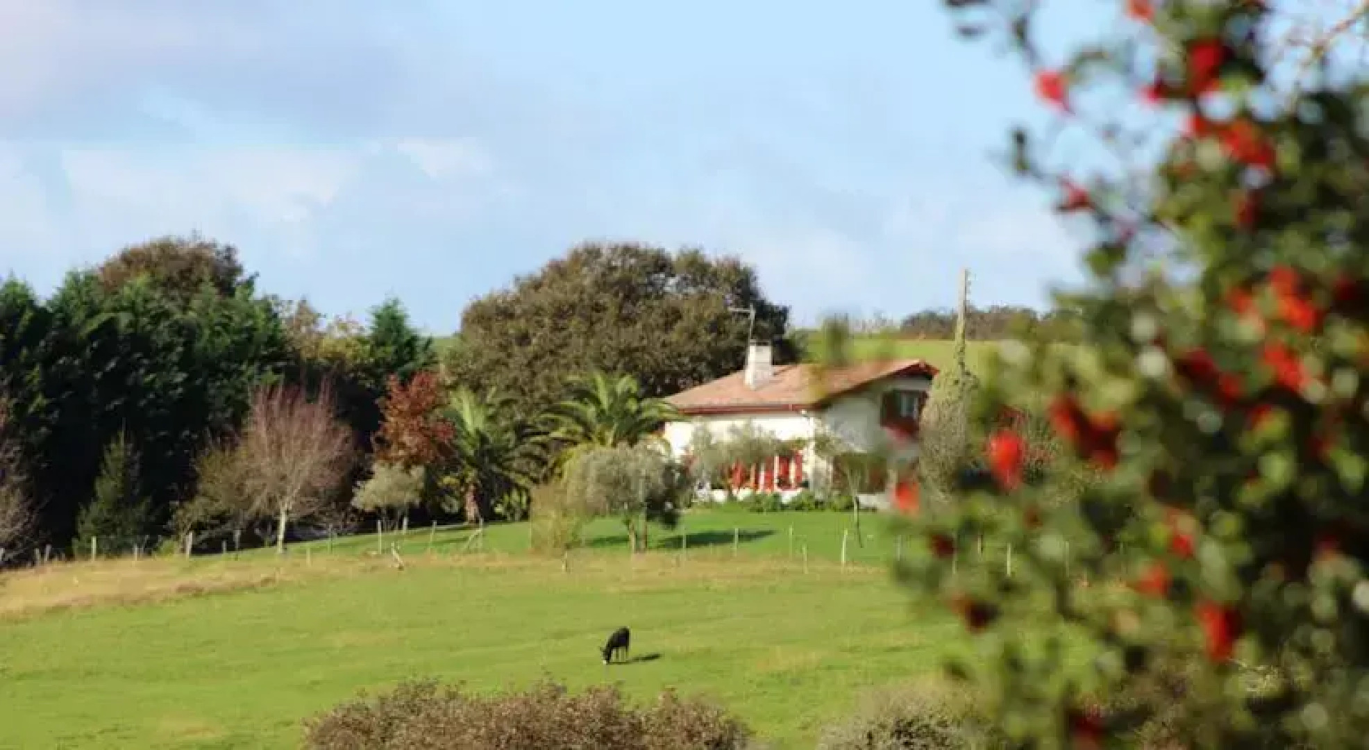 Chambres dhôtes Mirikuborda