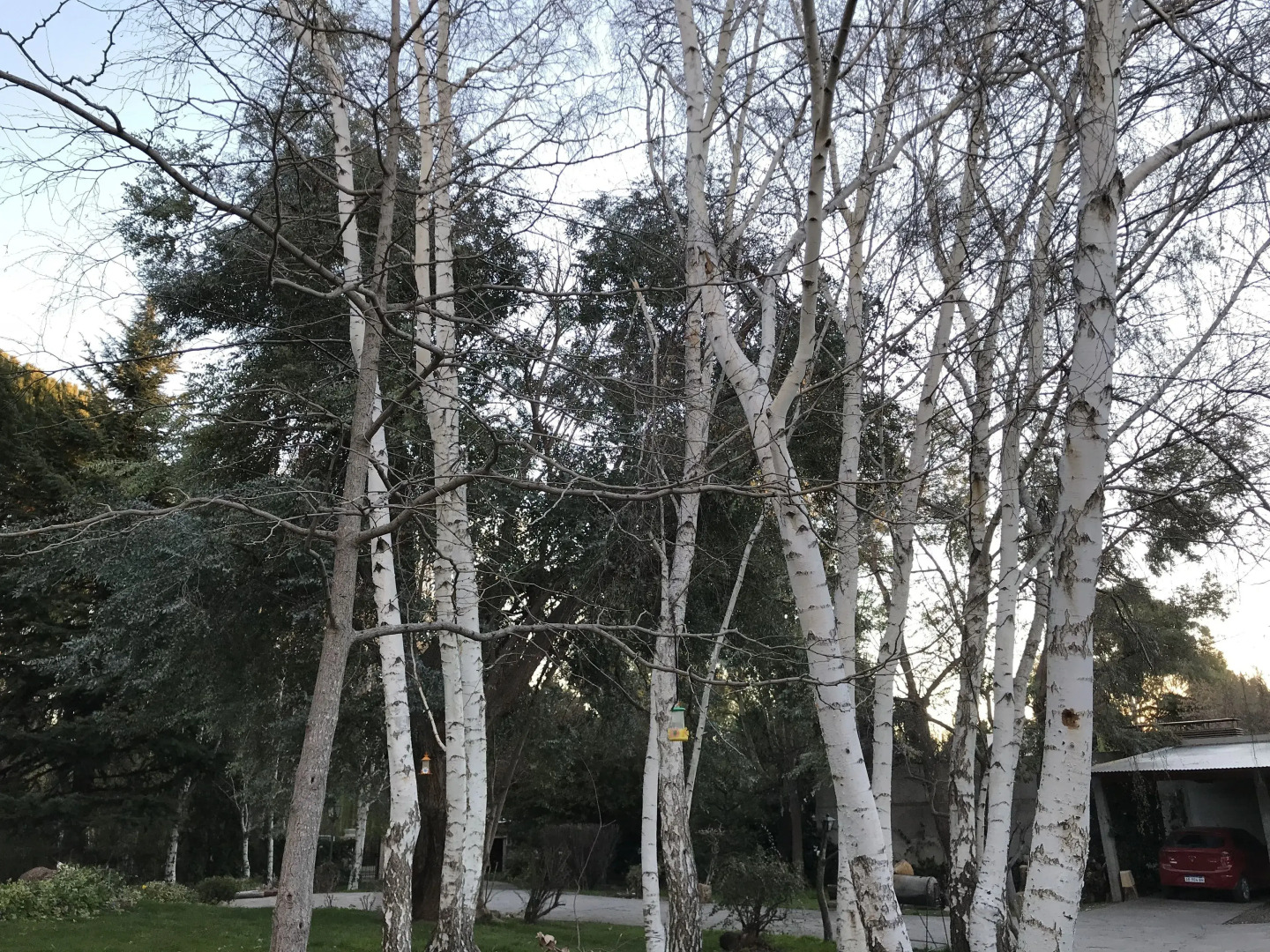 El Colibri Cabañas de la Naturaleza