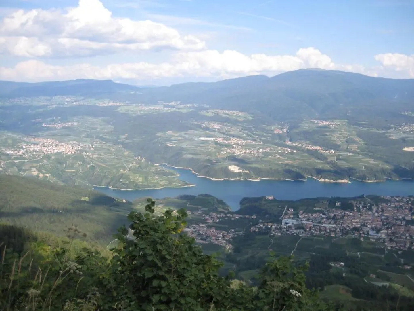 Pineta Hotels Nature Wellness Resort