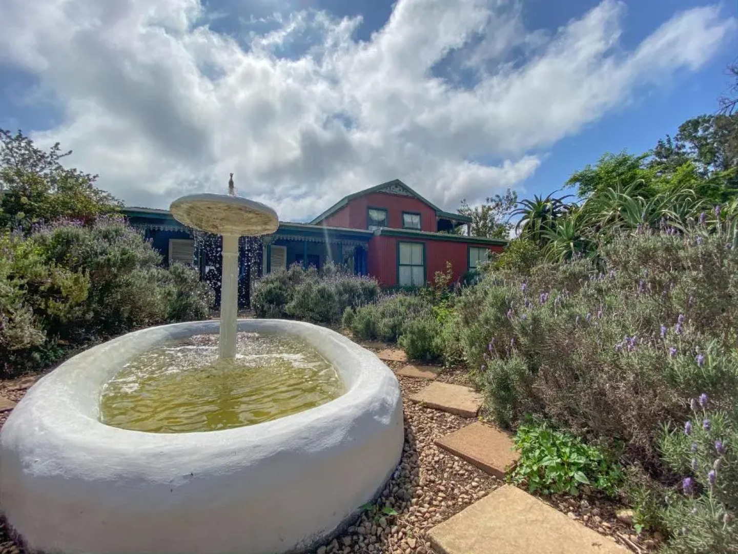 Outeniqua Moon Percheron Stud