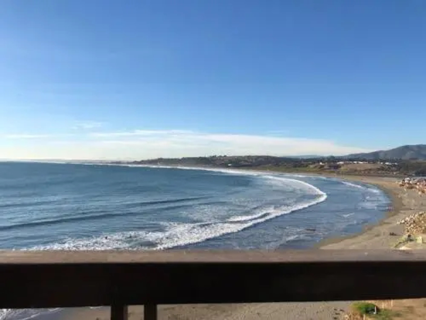 Pingüino En La Roca Cabañas