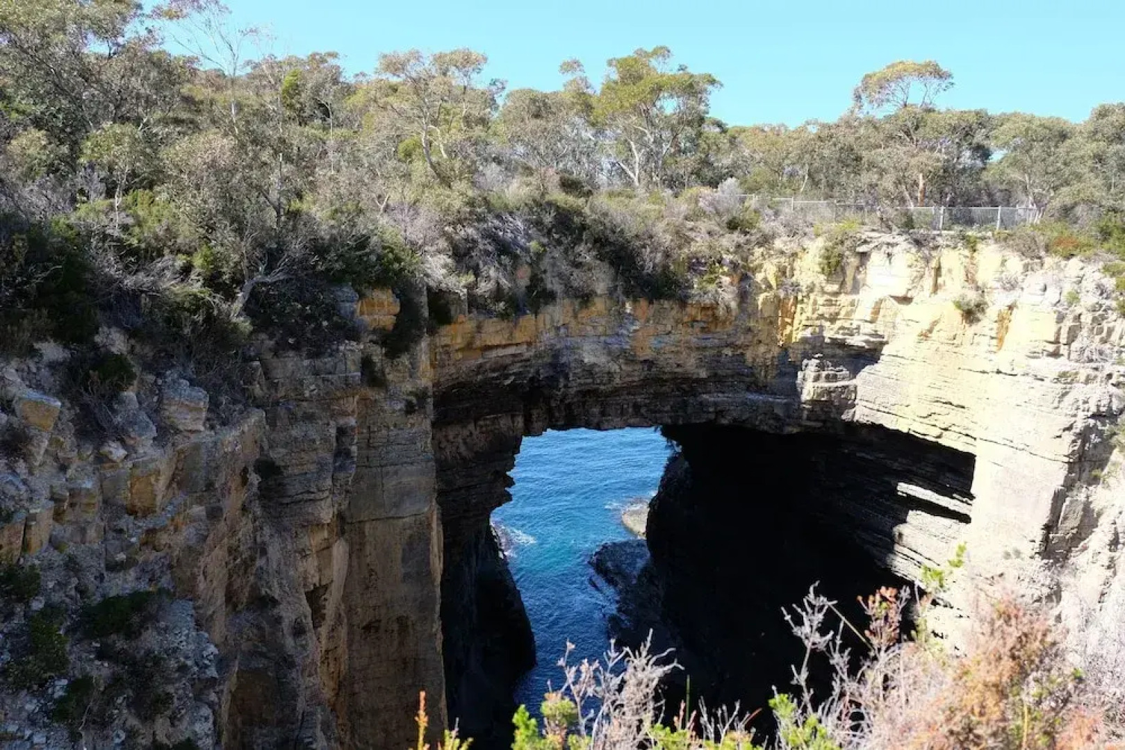 Blossoms on the Bay - 4 Bedrooms
