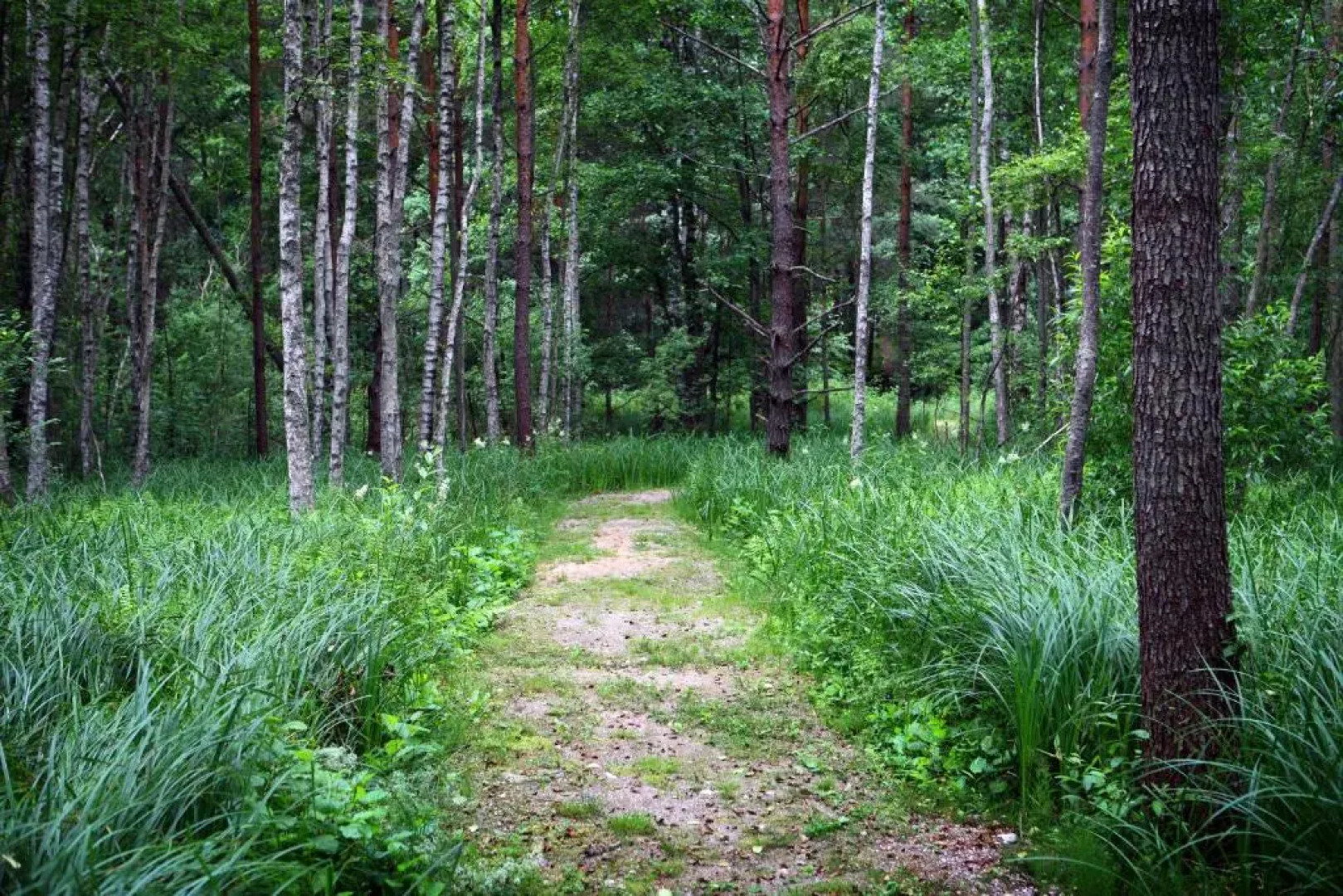 Holiday House Randu Pļavas