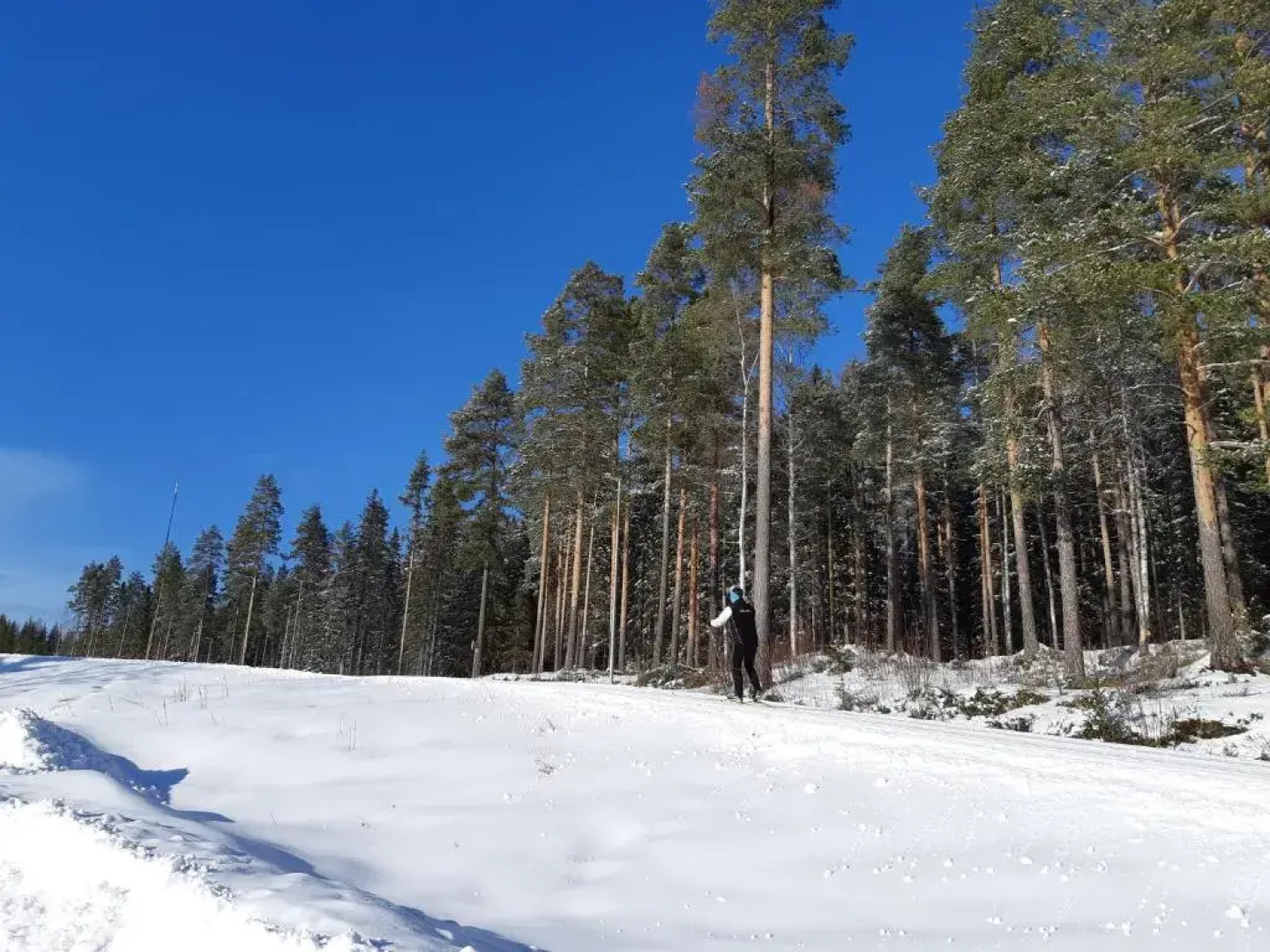 Skelleftea Camping