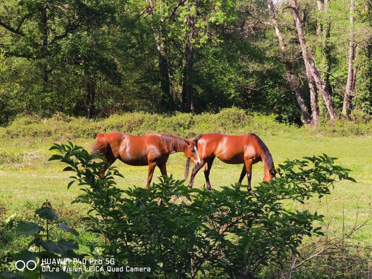 Piso amplio y luminoso, La Pomar