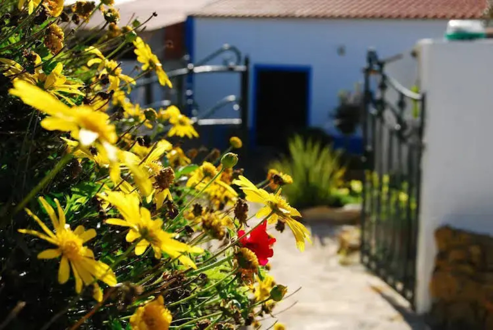 Quinta das Alfazemas