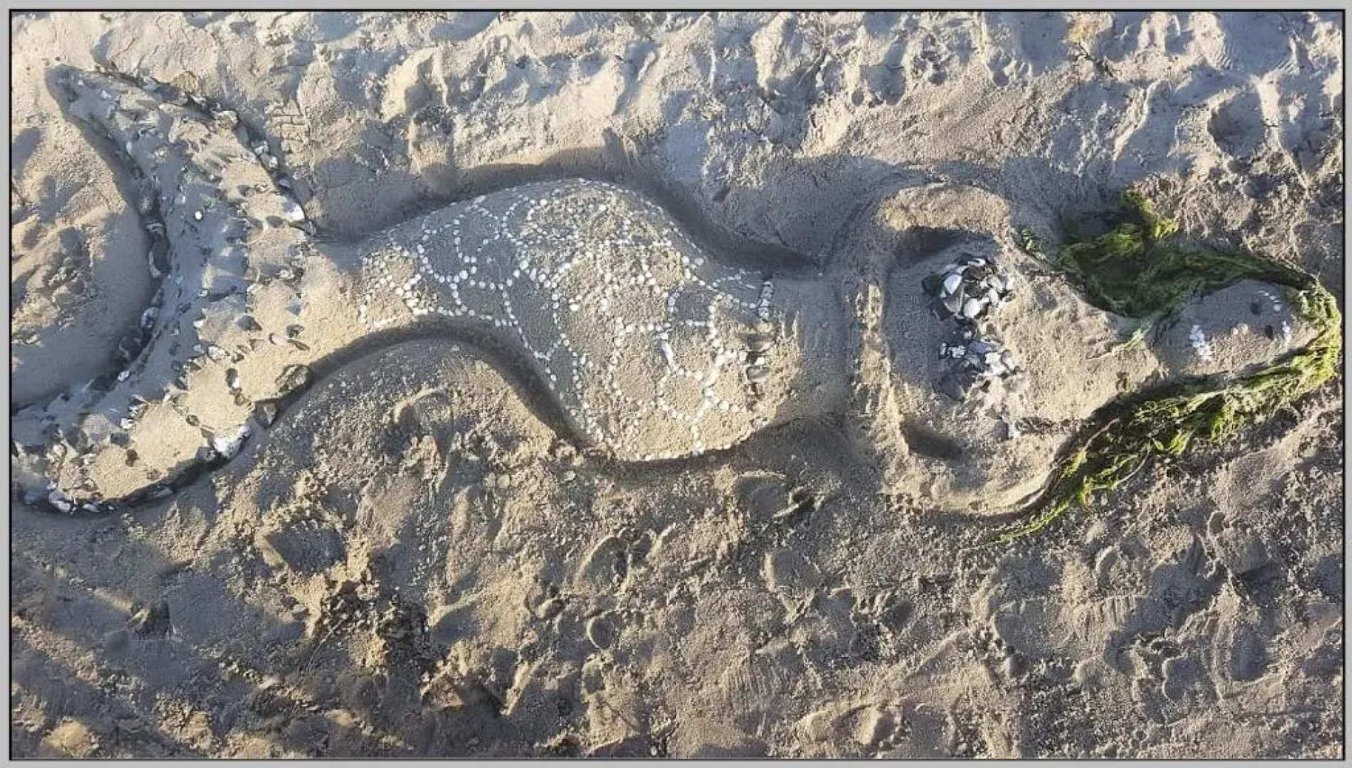 Strandhaus Vielmeer - exklusiv mit Sauna & Kamin direkt am Strand