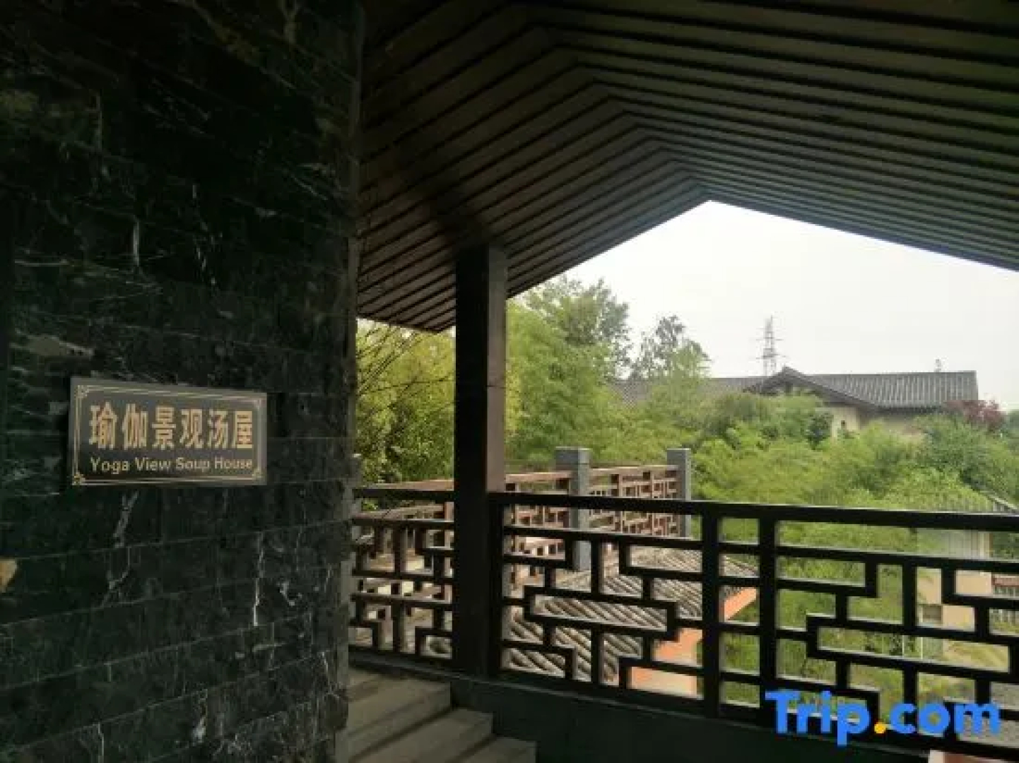 Mount Emei View Hot Spring Soup House