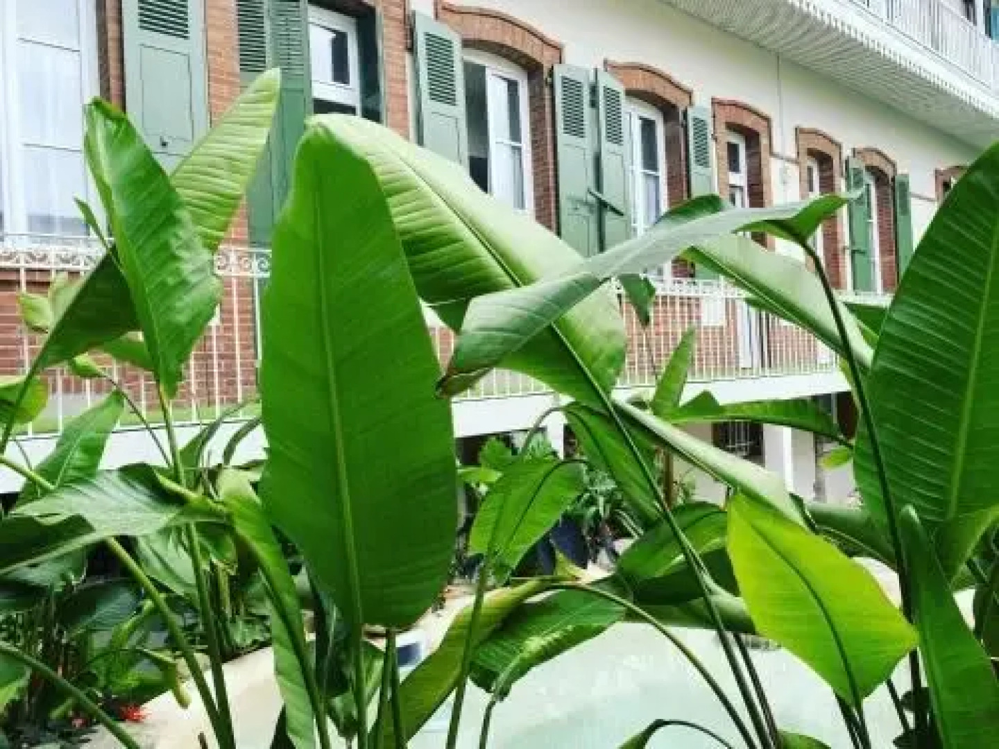 Appt Chalet Tarbes centre calme 2ch/Jardin