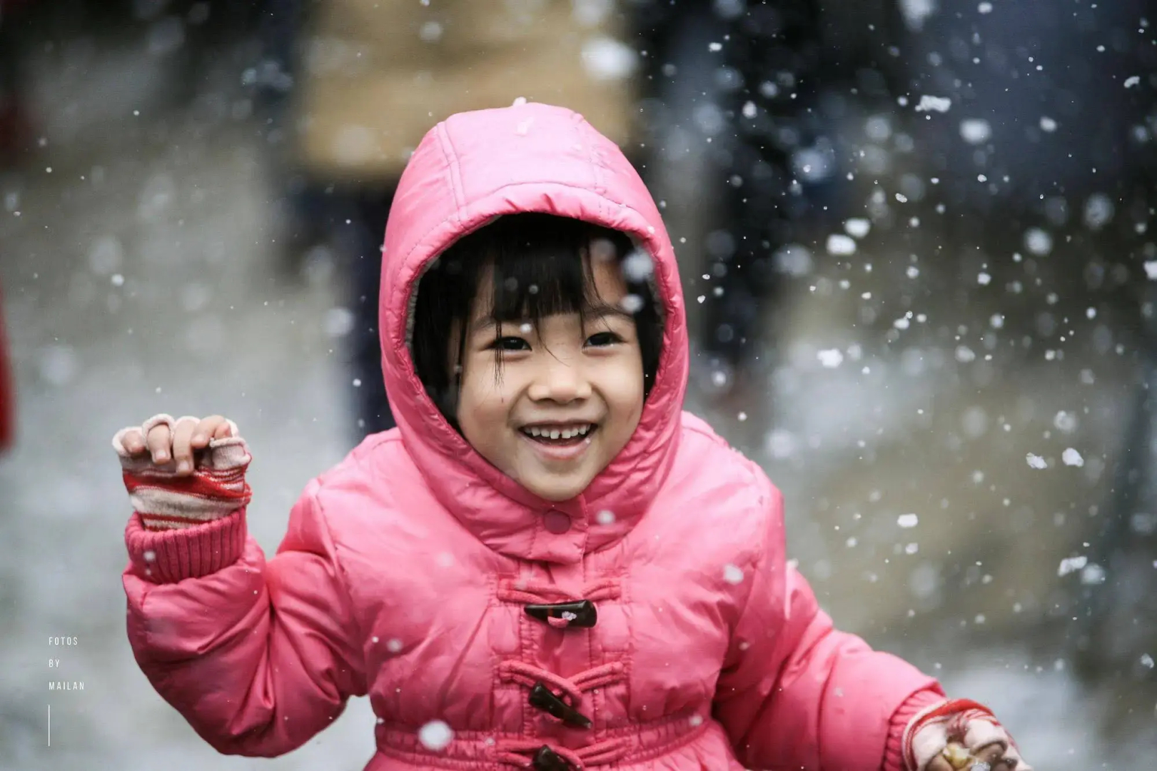 Sapa Jade Hill Resort & Spa