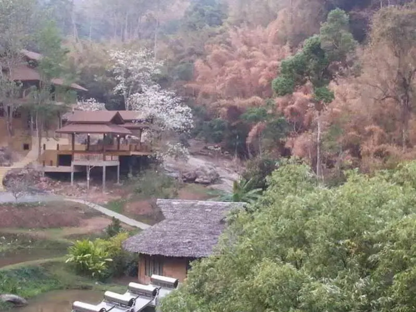 The Natural Healing Spa Retreat