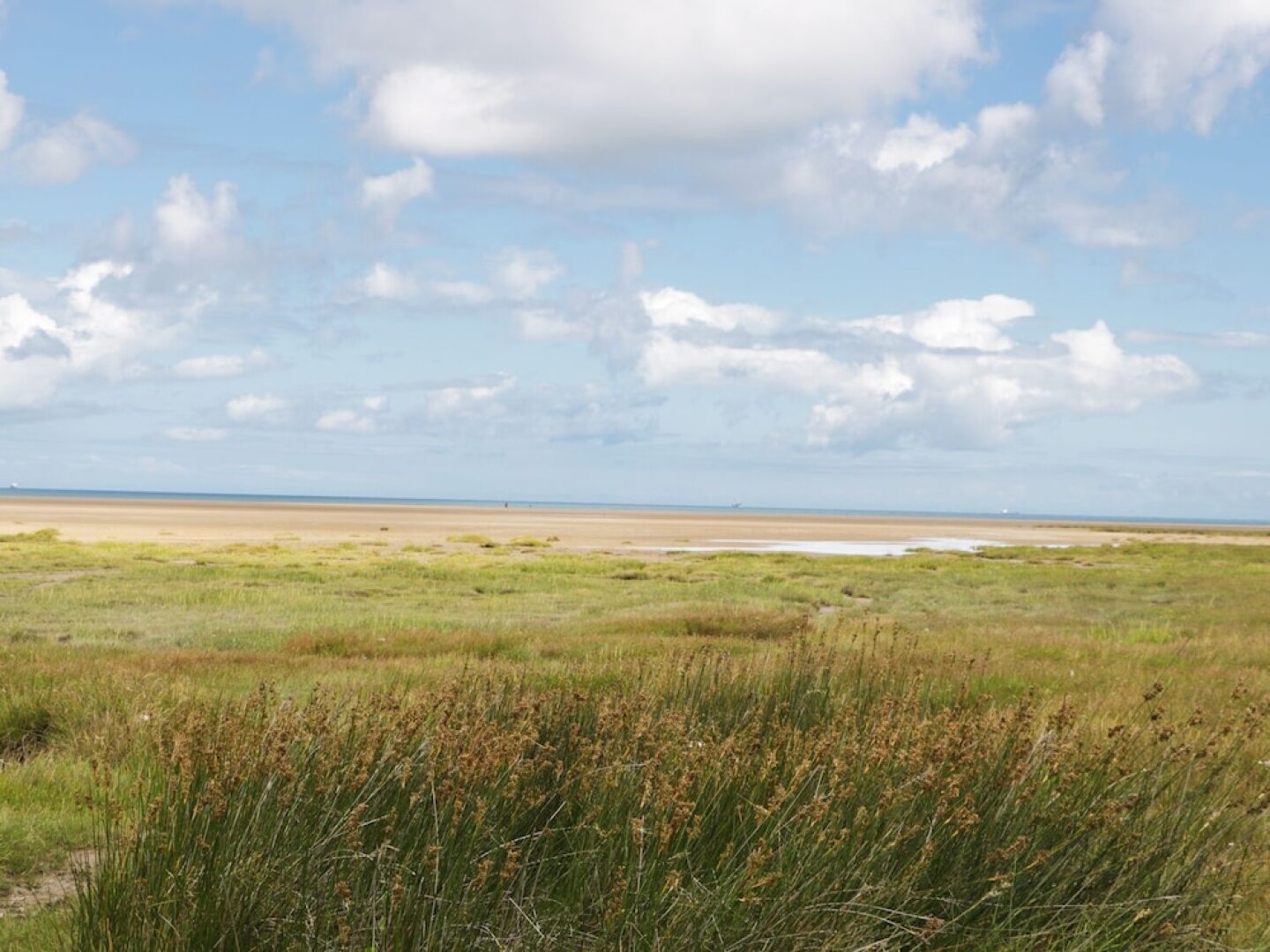The Cottage at Wylan Hall