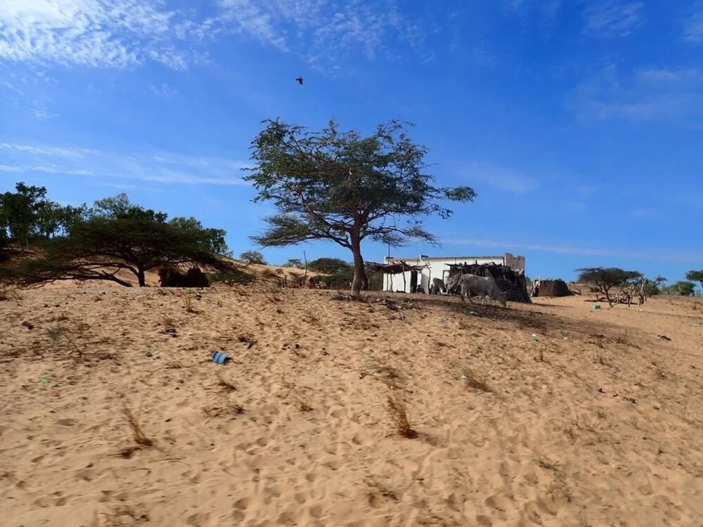 Lodge In Lompoul- Glamping