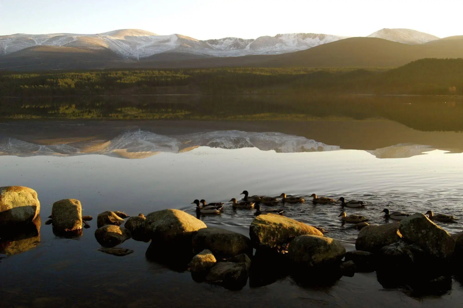 Macdonald Aviemore Hotel
