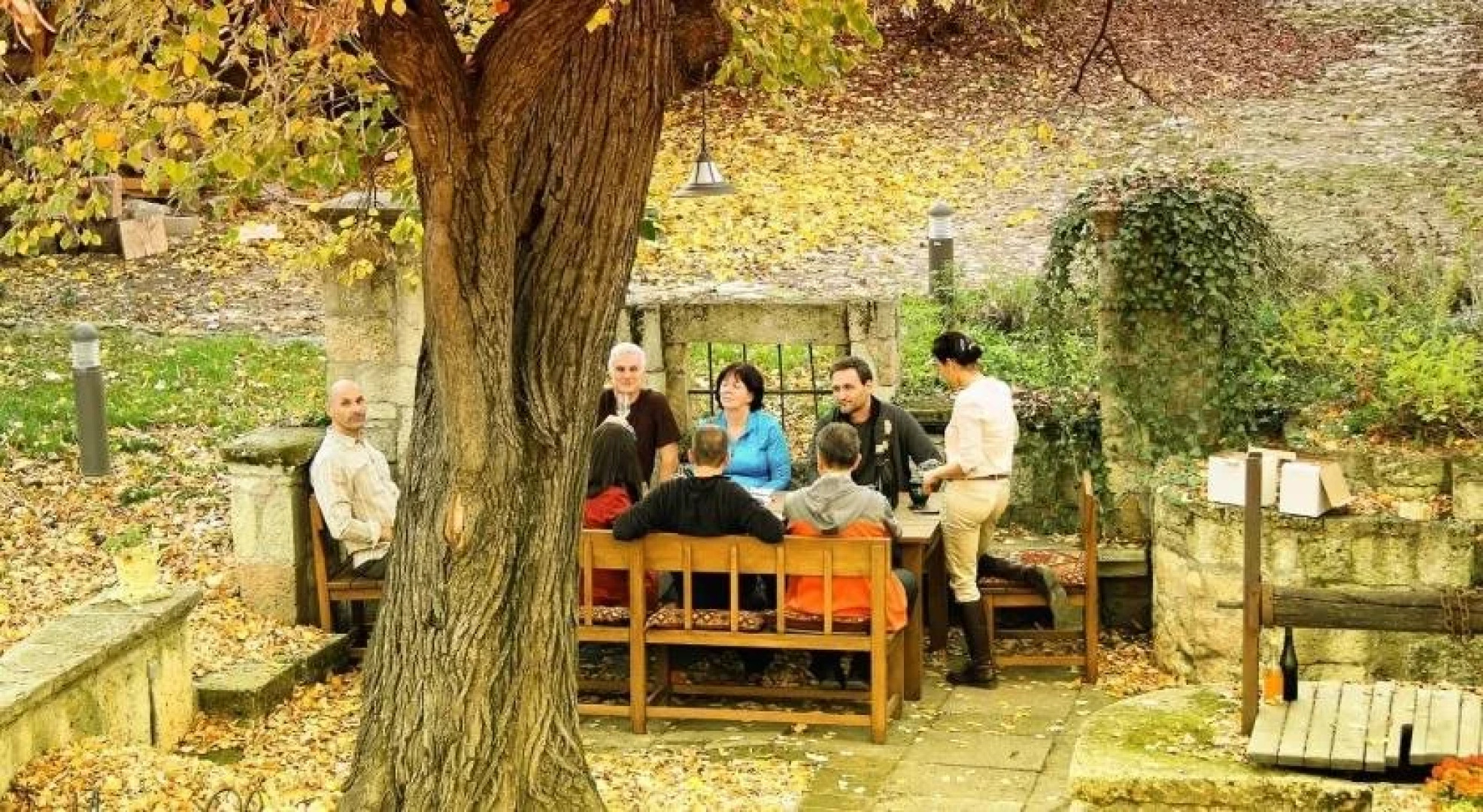 Barta Pince Vendégház Mád