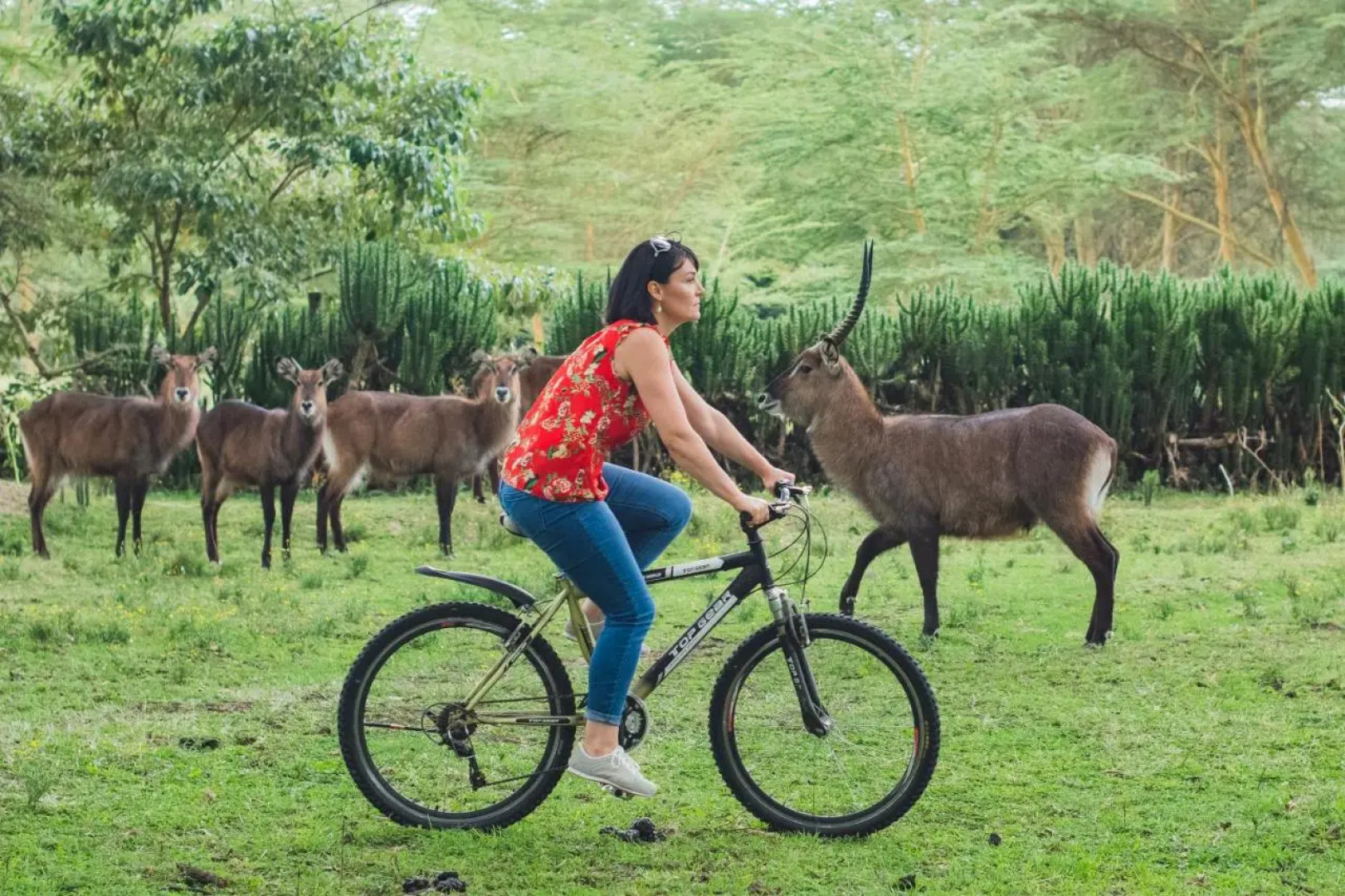 Enashipai Resort & Spa