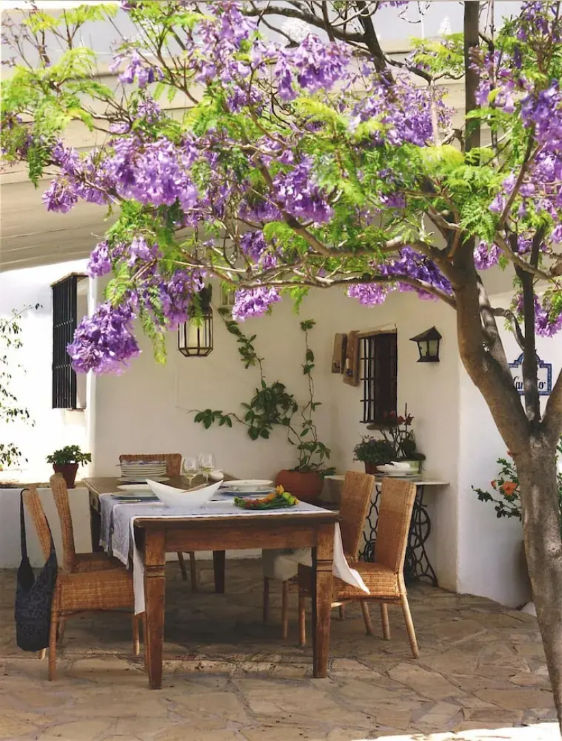 The Carligto Estate