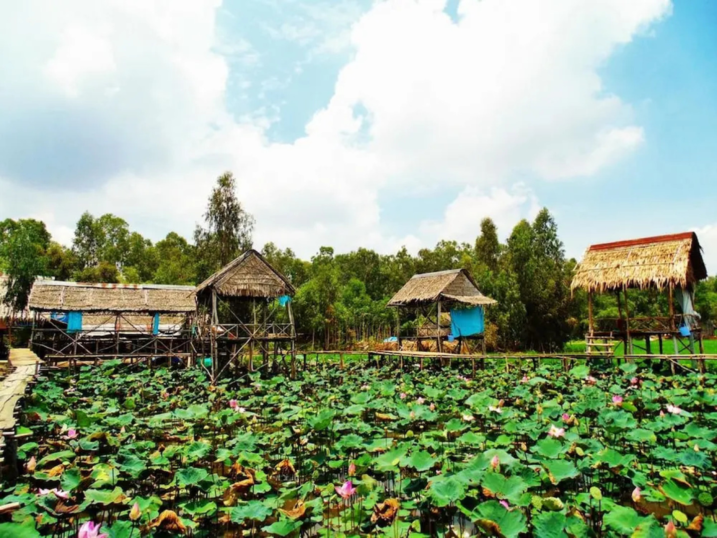 Hai Lua Homestay (Lotus Lake Homestay)
