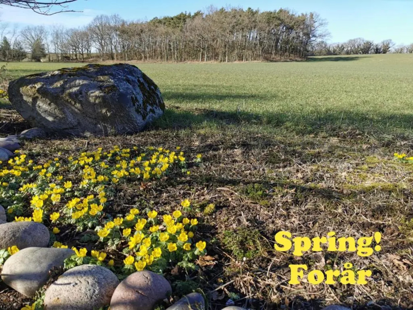 The 'Loft' Apartment- "Den Gule Svane" Guest House - near Rønne & Beach