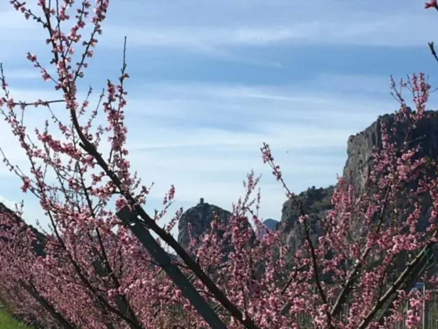 Appartamento Maso Giare