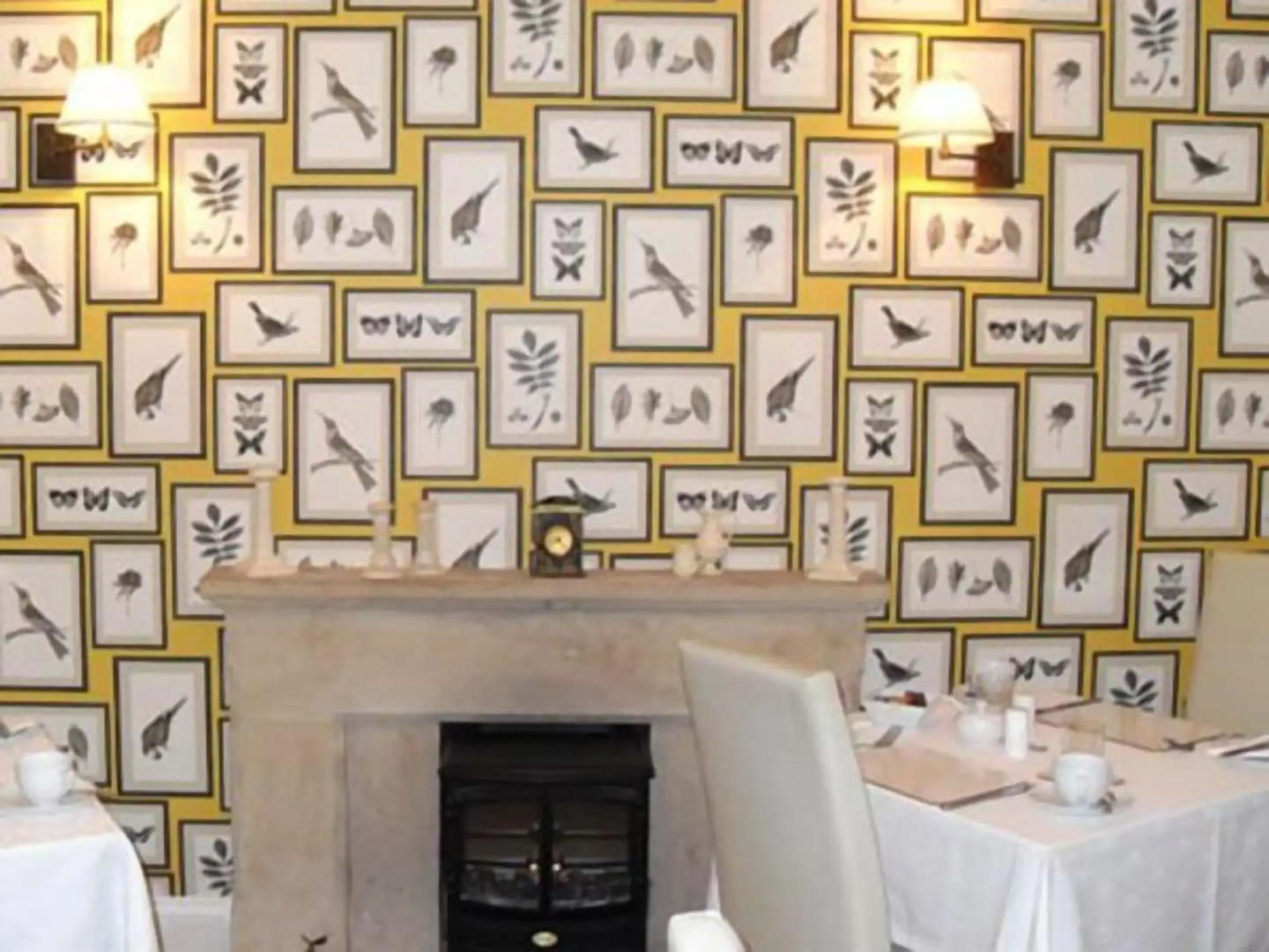The Ivy House