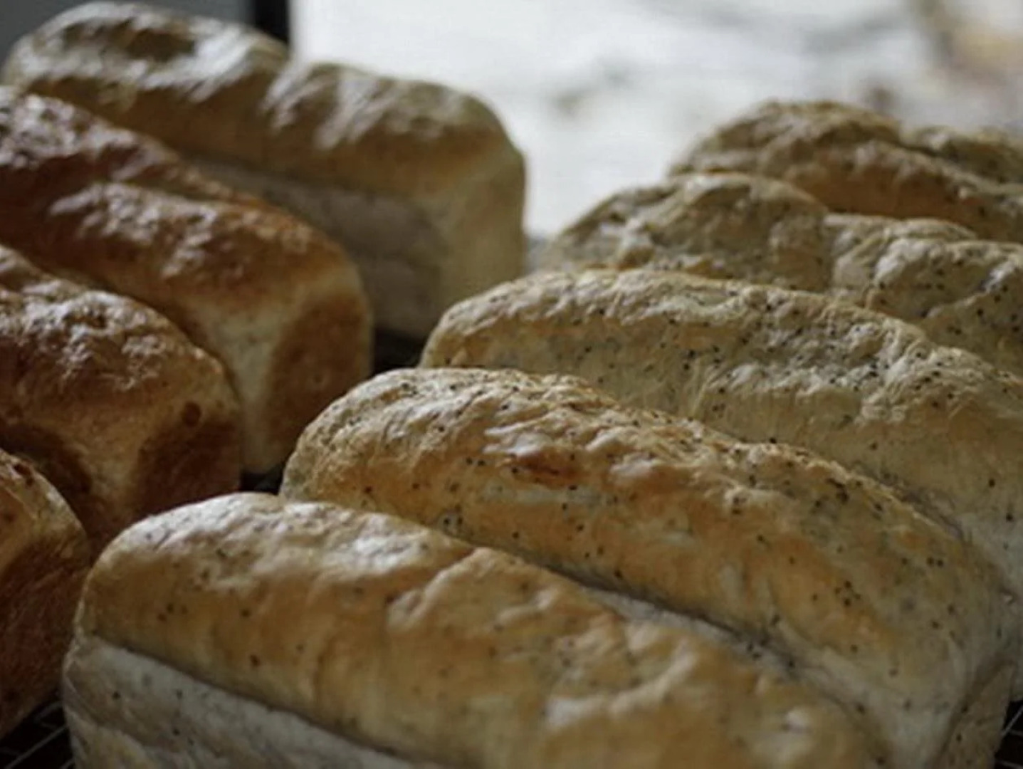 Chumphon Cabana Resort