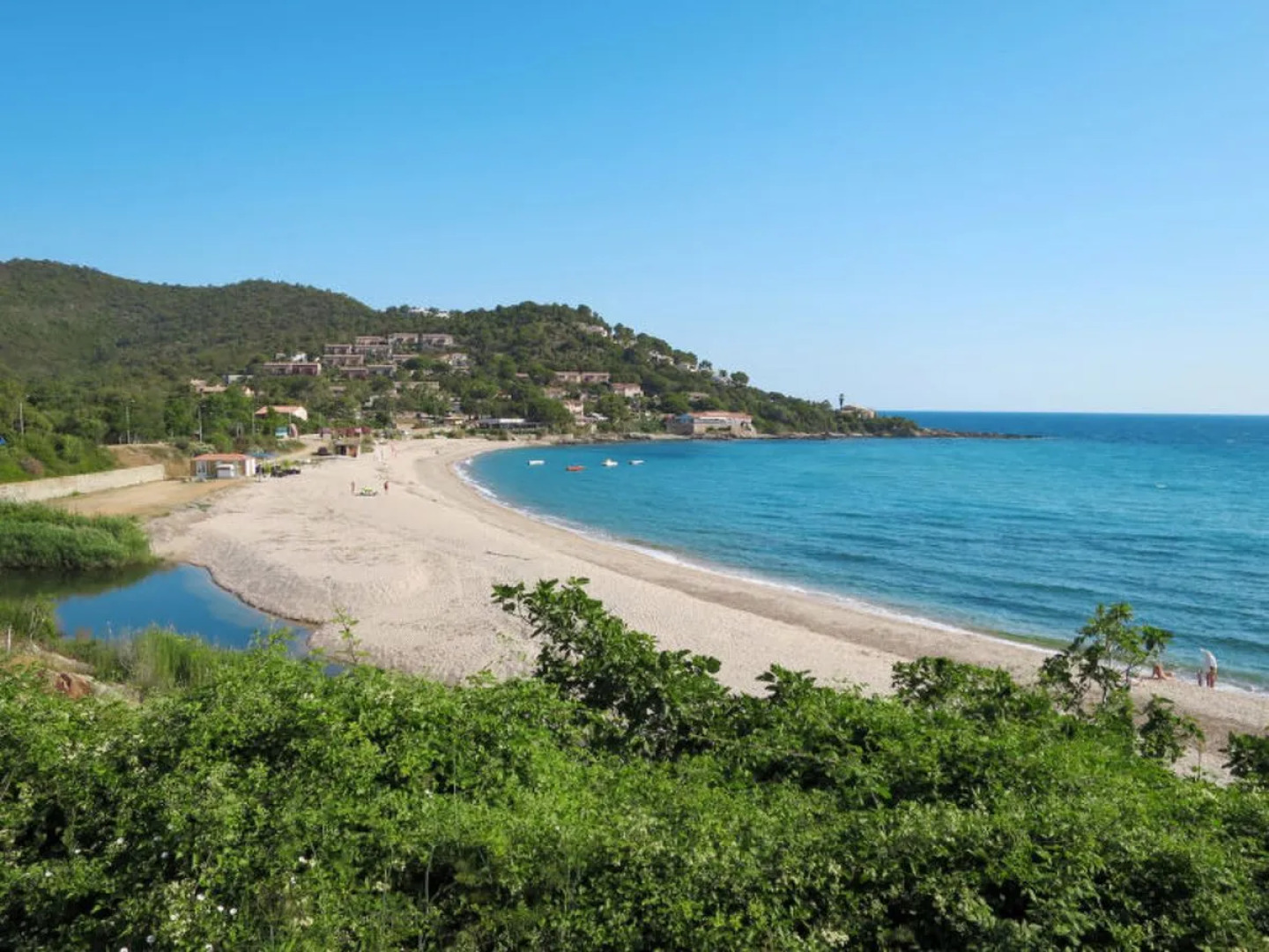 Stella di Mare (TAR130)