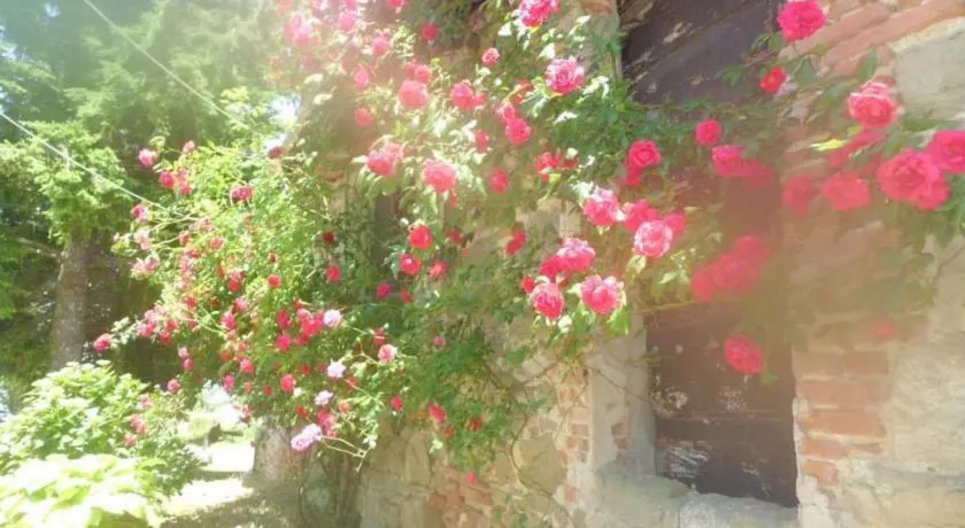 Bottega di Montegiovi