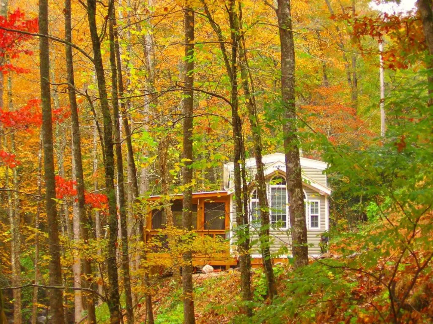 The Owl's Perch (5 inch clearance needed)