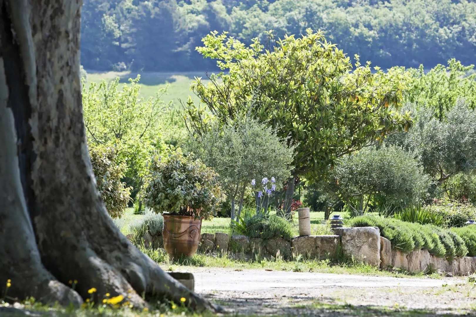 Relais du Silence le Mas de Guilles