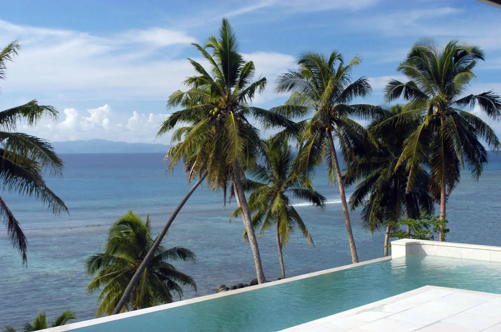 Taveuni Palms