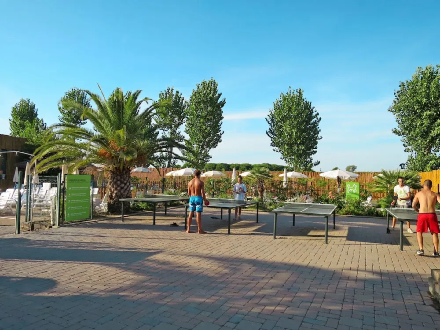 Park Albatros San Vincenzo