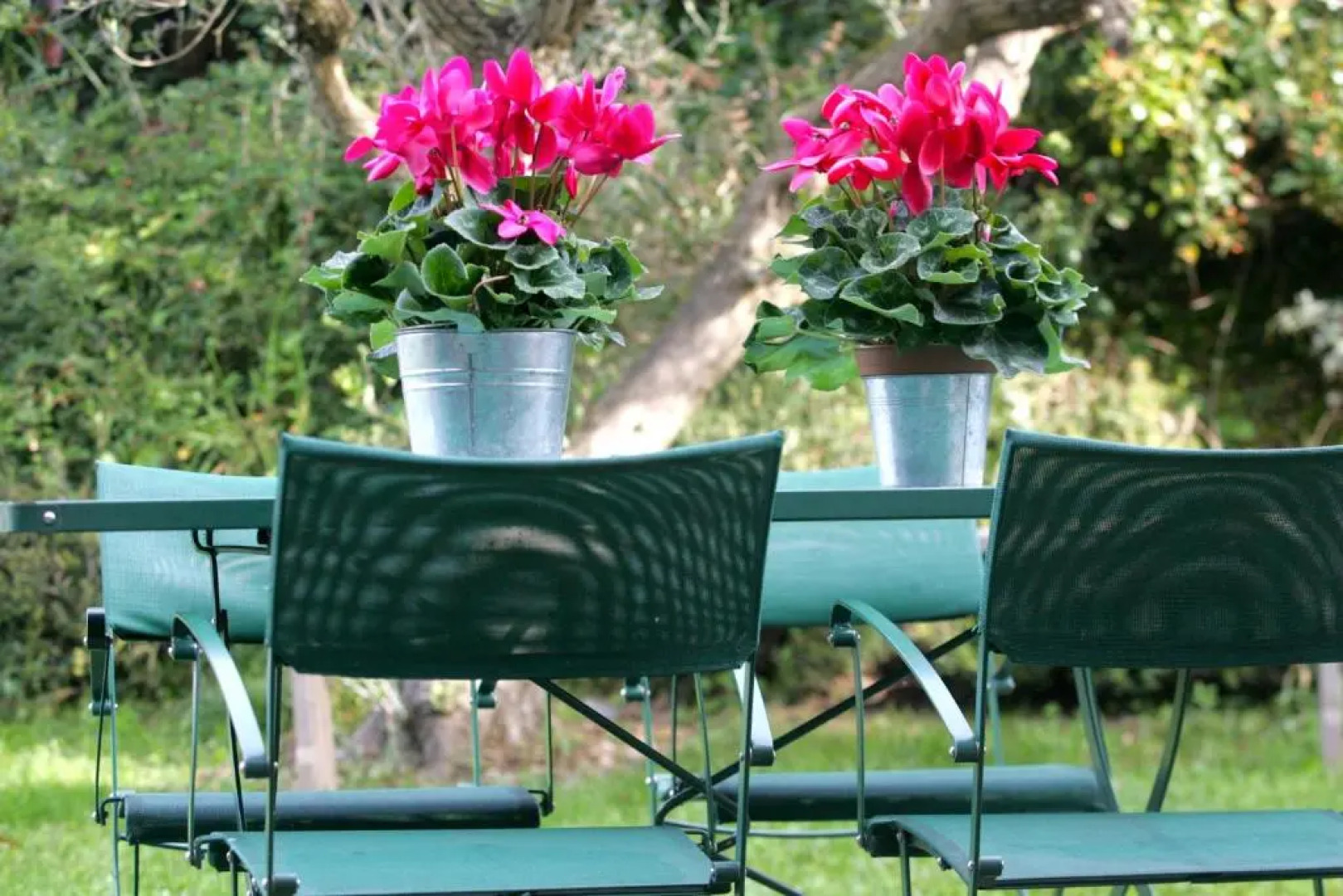 Domaine De Bassilour