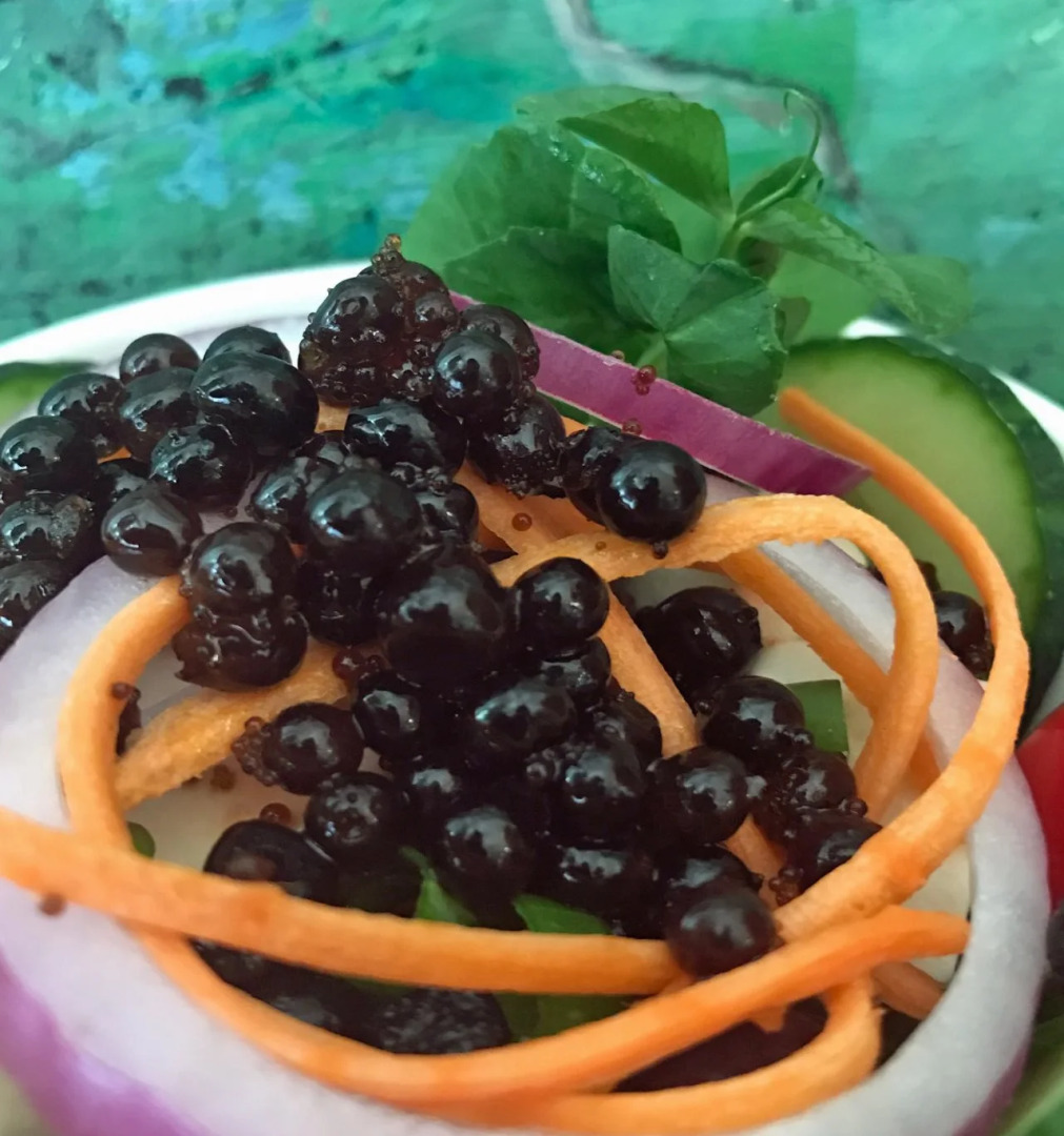 The Rabbit Hole Hotel