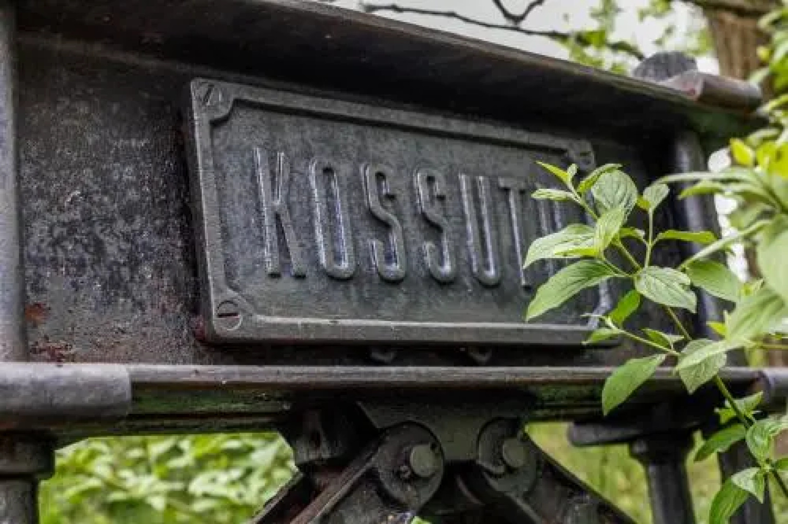 Myrtus Pince és Vendégház