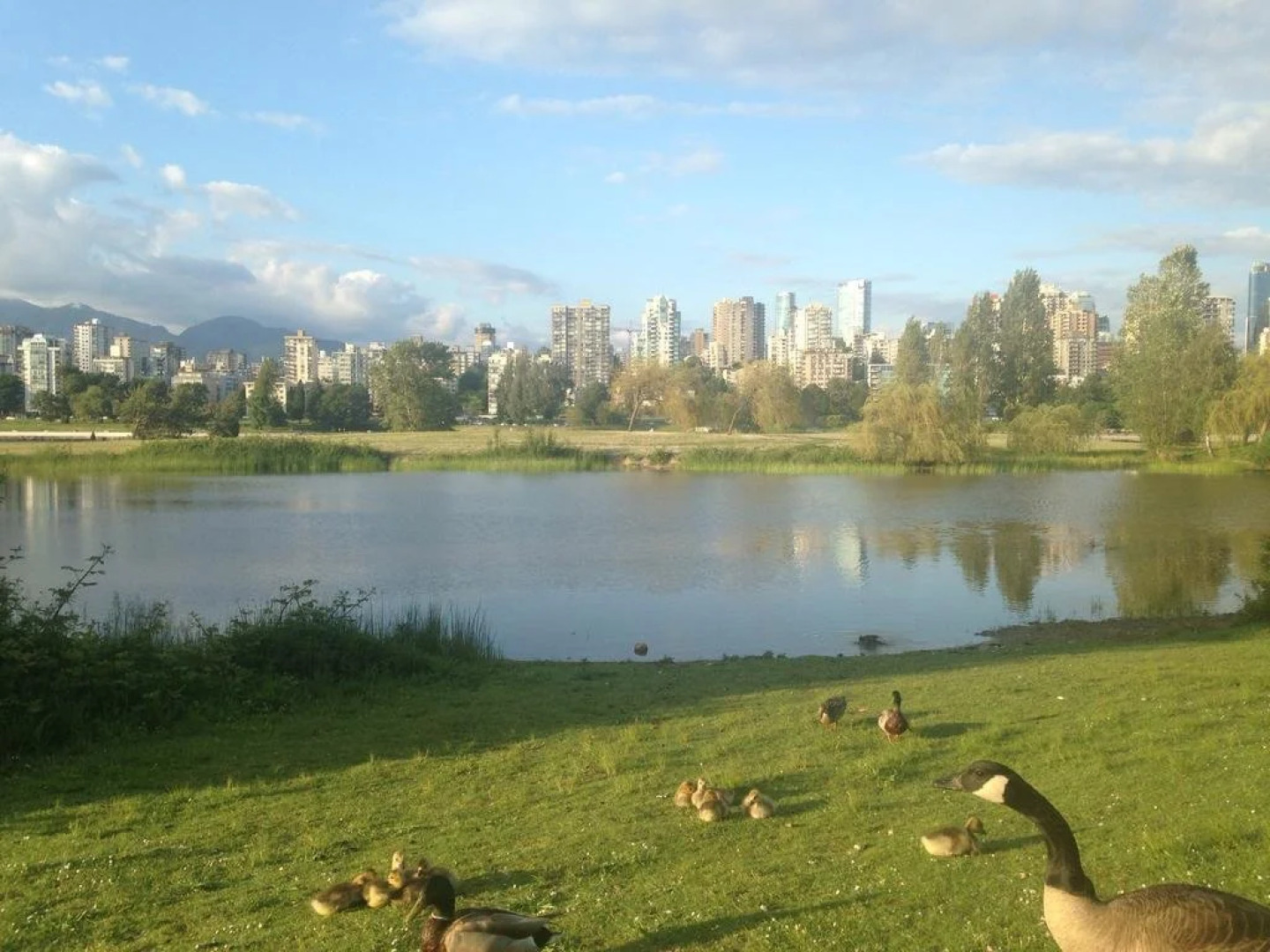 Maple Beach Bed and Breakfast