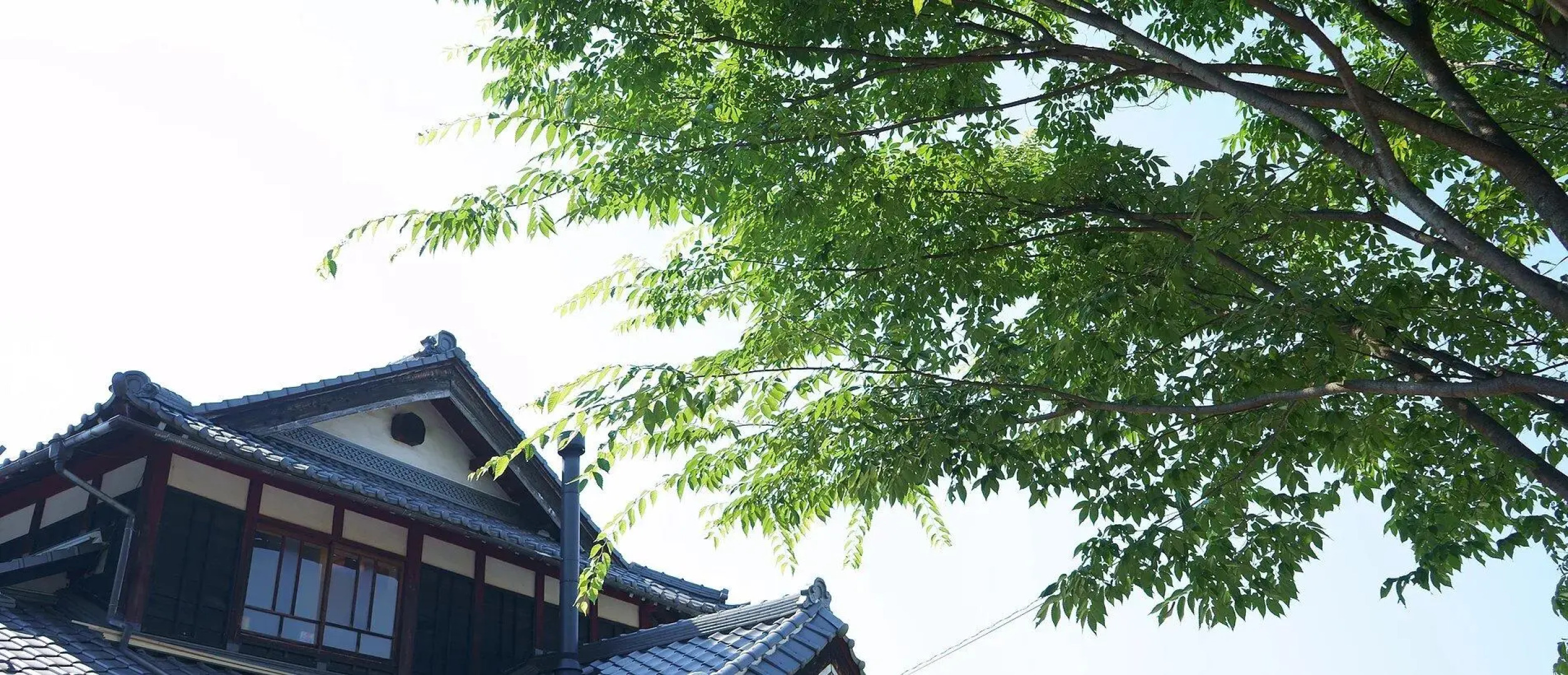 Cafe & Guesthouse Name Came Ono