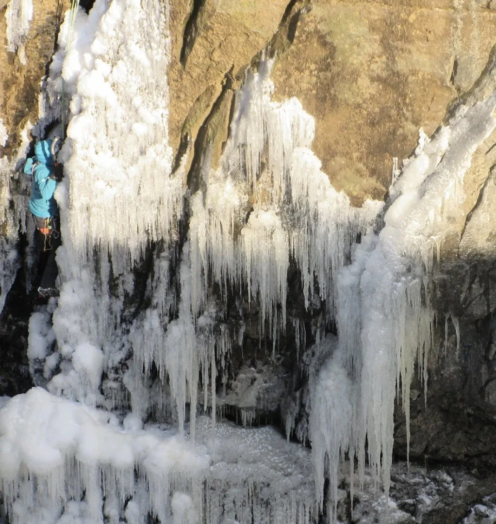 Middle Studfold Farm B&B