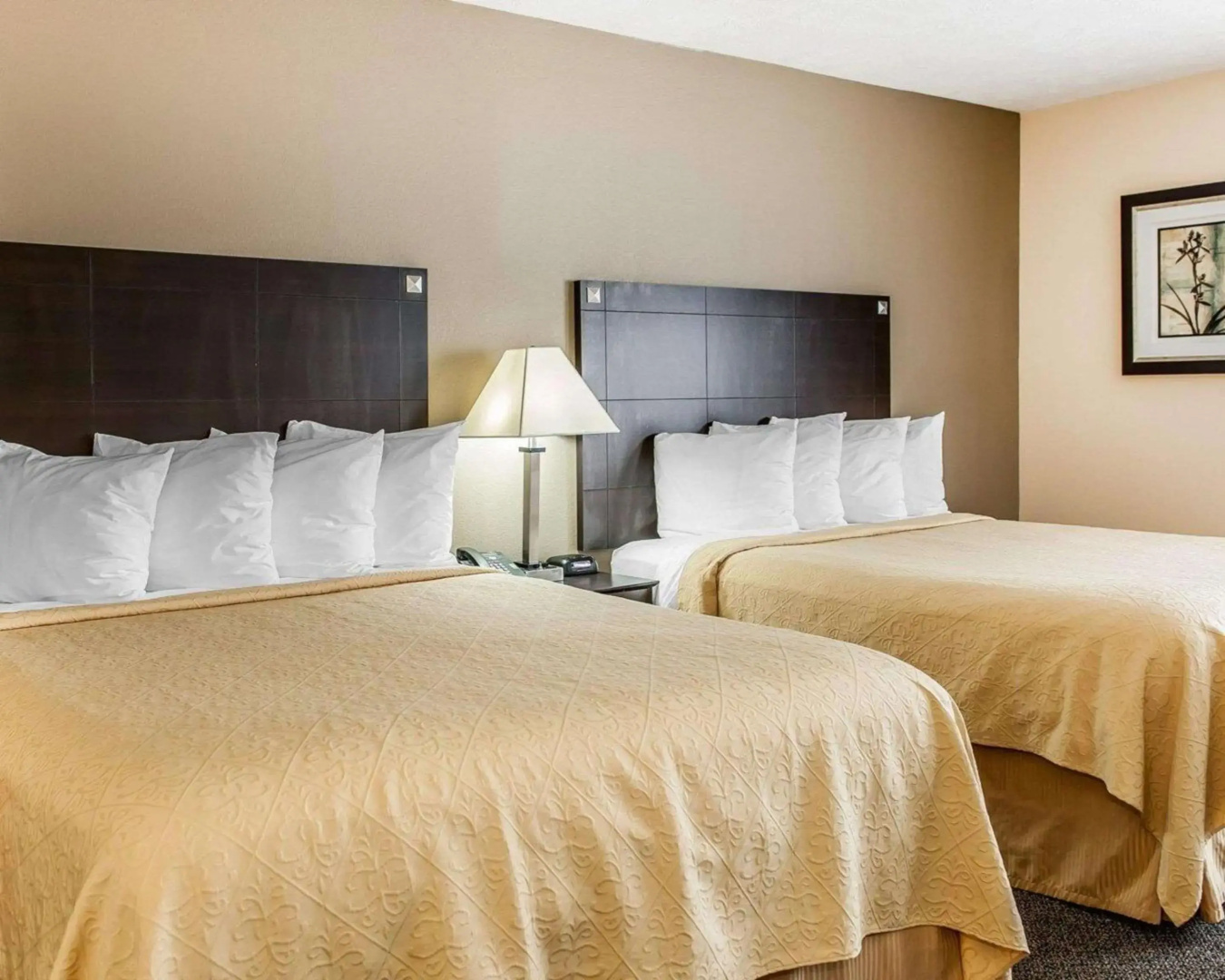 Quality Inn & Suites Mattoon South