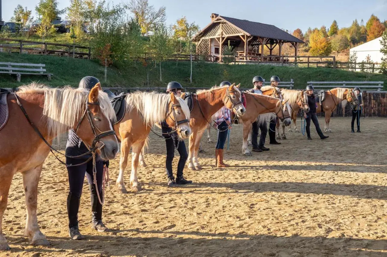 Potcoava Mountain Hideaway