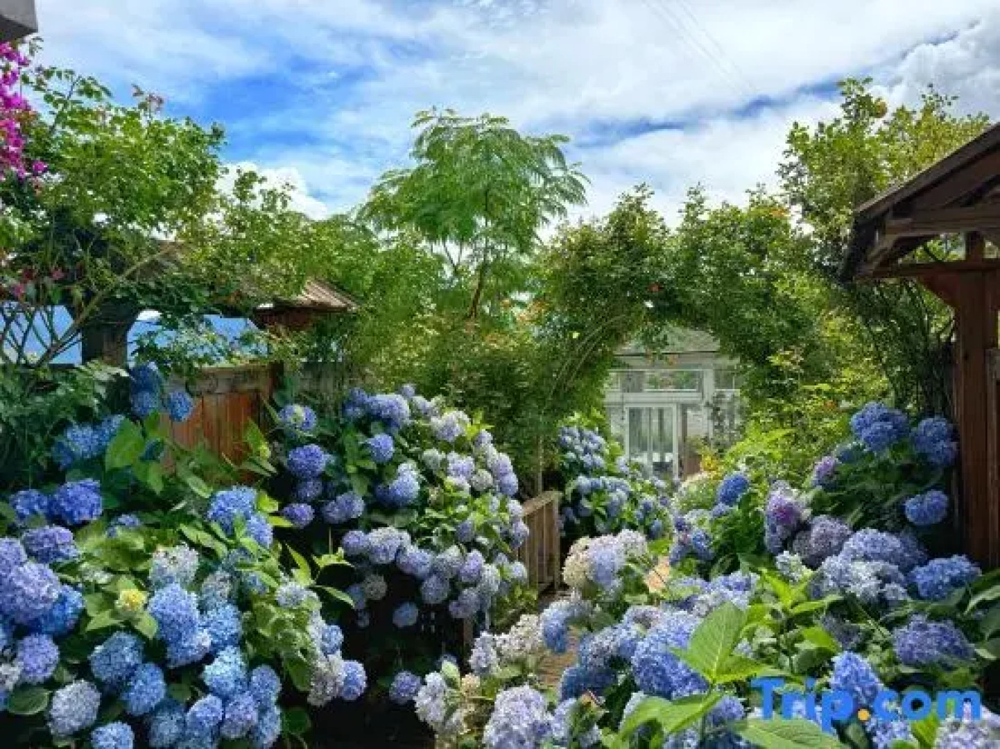 Tinghuatang Seaview Garden Inn