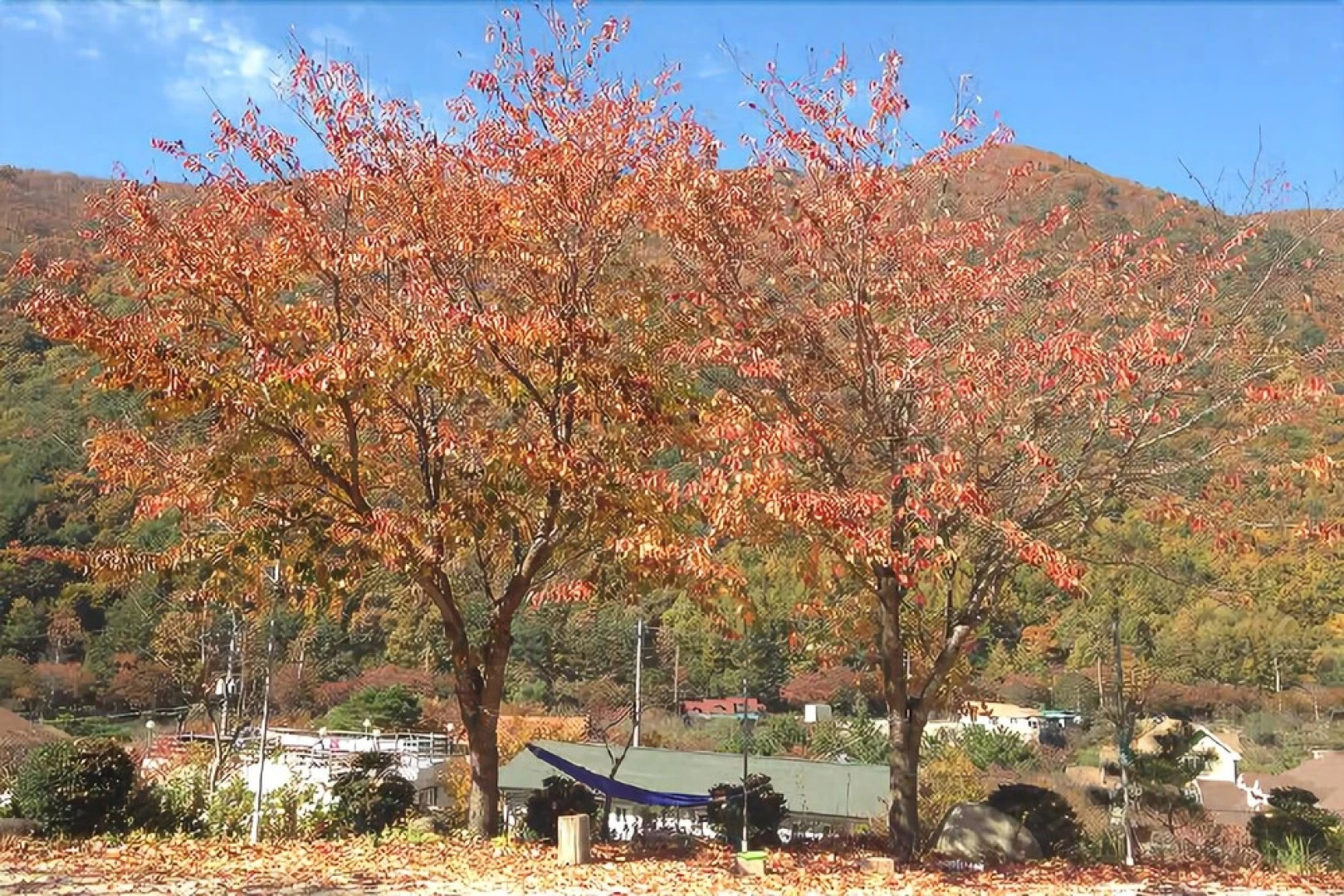 Yangsan Cozy Pension