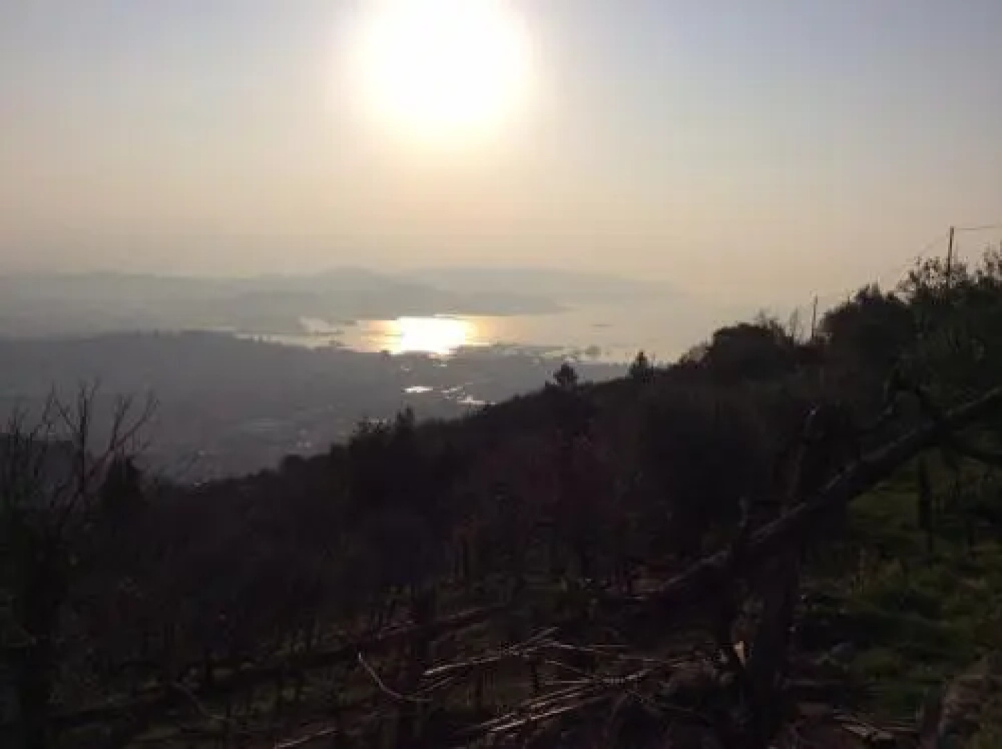 Belvedere Guest House