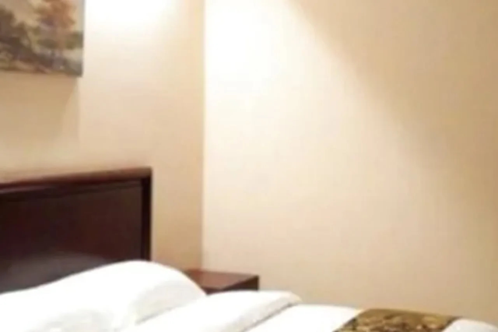 GreenTree Inn QinYang Middle HuaiFu Road Express Hotel
